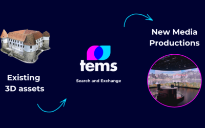 Looking back on the TEMS Online Workshop: Reusing 3D heritage models in media